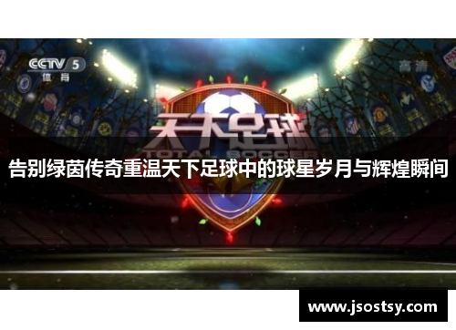 告别绿茵传奇重温天下足球中的球星岁月与辉煌瞬间